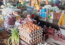 Harga Sembako di Kuala Pembuang Fluktuatif, Bawang Merah Rp 40.000