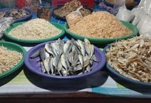 Nelayan Kesulitan Melaut Harga Ikan Asin Melonjak