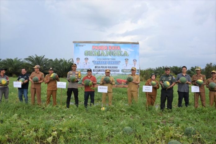 09042025105256_0-750x500