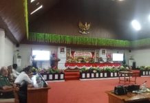 RPJMD Pulang Pisau 2025–2029 Sorot Isu Stunting : Penanggulangan Stunting
