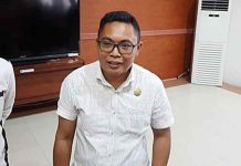 Dewan Apresiasi Pelantikan TP Posyandu di Kapuas