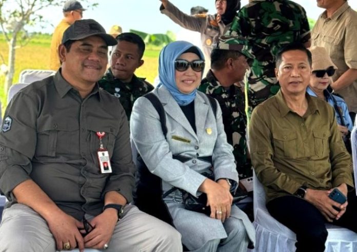 IMG-20250408-WA0009-768x542-1-750x529