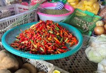 Harga Cabai di Pasar Saik Turun, Pedagang Prediksi Akan Naik Lagi Menjelang Akhir Tahun