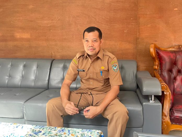 WhatsApp Image 2025-11-04 at 17.54.30