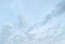 Bupati Katingan Saiful, Tinjau Lokasi Pasca Kebakaran