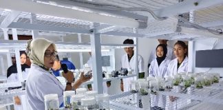 Dinas TPHP Prov.Kalteng Terima Kunjungan dari 30 Mahasiswa Fakultas Pertanian dan Kehutanan Universitas Muhammadiyah Palangka Raya