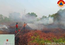 BPBD Kalteng Terus Intensifkan Penanganan Karhutla di Wilayah Kalimantan Tengah