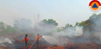 BPBD Kalteng Terus Intensifkan Penanganan Karhutla di Wilayah Kalimantan Tengah
