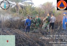 Terus Berjibaku Dengan Api, Tim Gabungan Berhasil Padamkan Karhutla Seluas Dua Hektare di Seruyan Hilir Timur