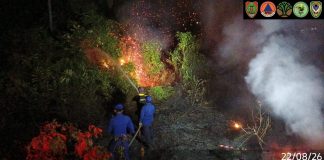 Kecamatan Seruyan Hilir Timur Terbanyak Lahan Terbakar