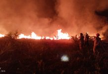 Tim Satgas Karhutla Padamkan Kebakaran Lahan Seluas 10 Hektare di Telaga Pulang