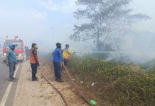 Satgas Gabungan Karhutla Seruyan Padamkan Dua Titik Api di Seruyan Hilir Timur