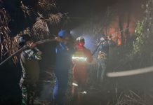 Satgas Gabungan Karhutla Seruyan Lokalisir Dua Titik Api di Kuala Pembuang