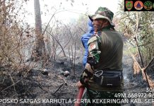 Hingga Saat Ini, Sebanyak 211 Titik Api Terdeteksi di Seruyan, Luas Karhutla Capai 621,6 Hektare