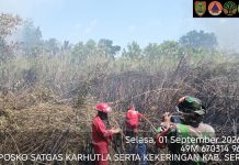 Dua Titik Karhutla di Seruyan Berhasil Dilokalisir, Sekitar 8 Hektare Lahan Terbakar