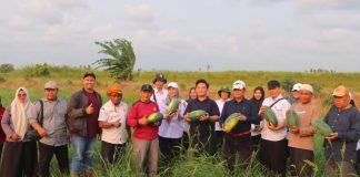 Bupati Seruyan Panen Buah Semangka