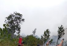Satgas Karhutla Seruyan Padamkan Kebakaran Lima Hektare di Telaga Pulang