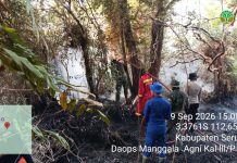 Dua Titik Karhutla di Seruyan Berhasil Dilokalisir, Tim Gabungan Pastikan Api Padam