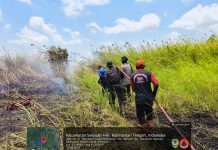 Perusahaan di Seruyan Diminta Perkuat Penanganan Karhutla