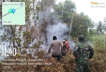 Satgas Gabungan Padamkan Karhutla di Pematang Panjang, Api Berhasil Dilokalisir