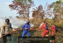 Kabut Asap Kian Pekat, Kepala BPBD Seruyan Minta Warga Kurangi Aktivitas Diluar