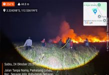 Satgas Karhutla Seruyan Bergerak Malam Hari, Api di Pematang Limau Berhasil Dipadamkan