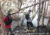 Satgas Karhutla Seruyan Bergerak di Tanjung Puting, Cegah Api Merembet ke Kawasan Hutan