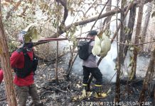 Satgas Karhutla Seruyan Bergerak di Tanjung Puting, Cegah Api Merembet ke Kawasan Hutan